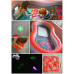 Bestway Doodle Glow Inflatable Play Pool – HM0440