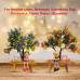 BKR Elderly Couple Showpiece Combo – Grandmother Knitting & Grandfather Reading on Wooden Bench with Blooming Trees – Sentimental Gift for Valentine’s Day, Anniversaries & Special Occasions-HM0418-2