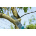 GARDENA 8737-20 combisystem Gardeners’ Saw 300 PP LG0978