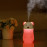  Lovely Bear Humidifier - Magic Diamond Cool Mist Essential Oil Diffuser with LED Night Light - Portable for Car, Office, and Home – HM0436