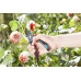 GARDENA 8904 Two step adjustable Bypass Pruners with safety lock