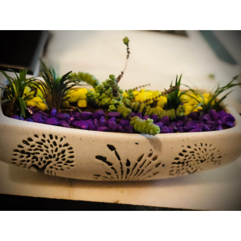 BKR® Boat Shaped Ceramic Pot Designed With Planted succulent and 4 Ferns LG0718